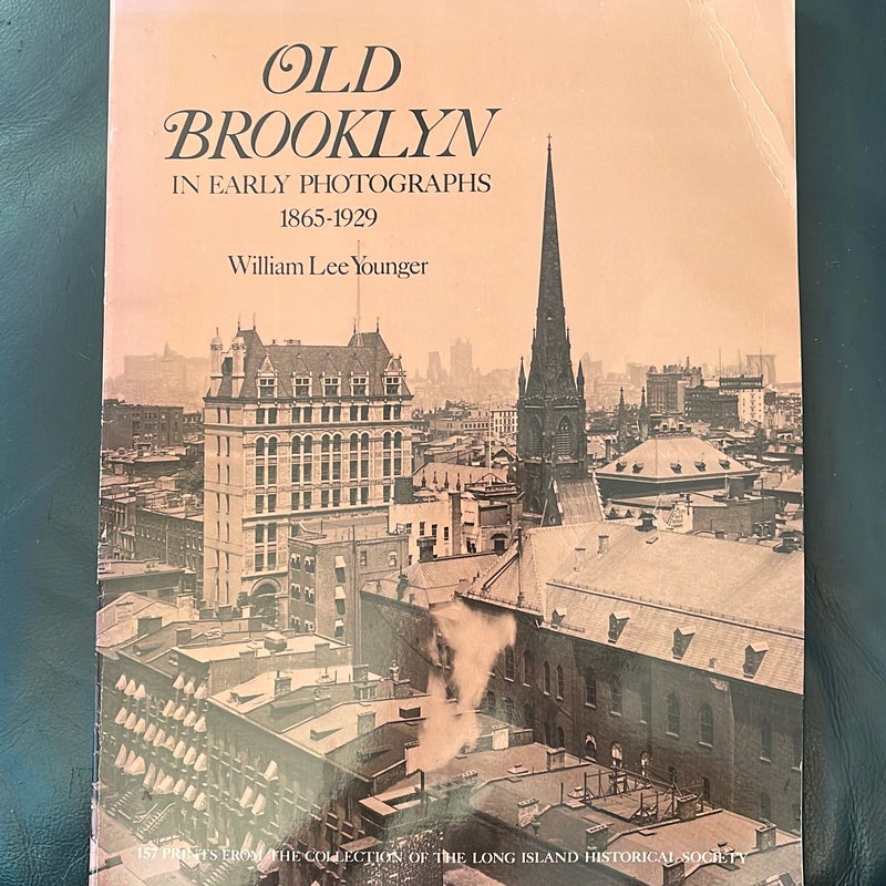 Old Brooklyn in Early Photographs, 1865-1929