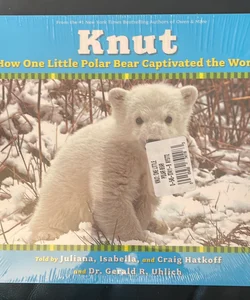 Knut