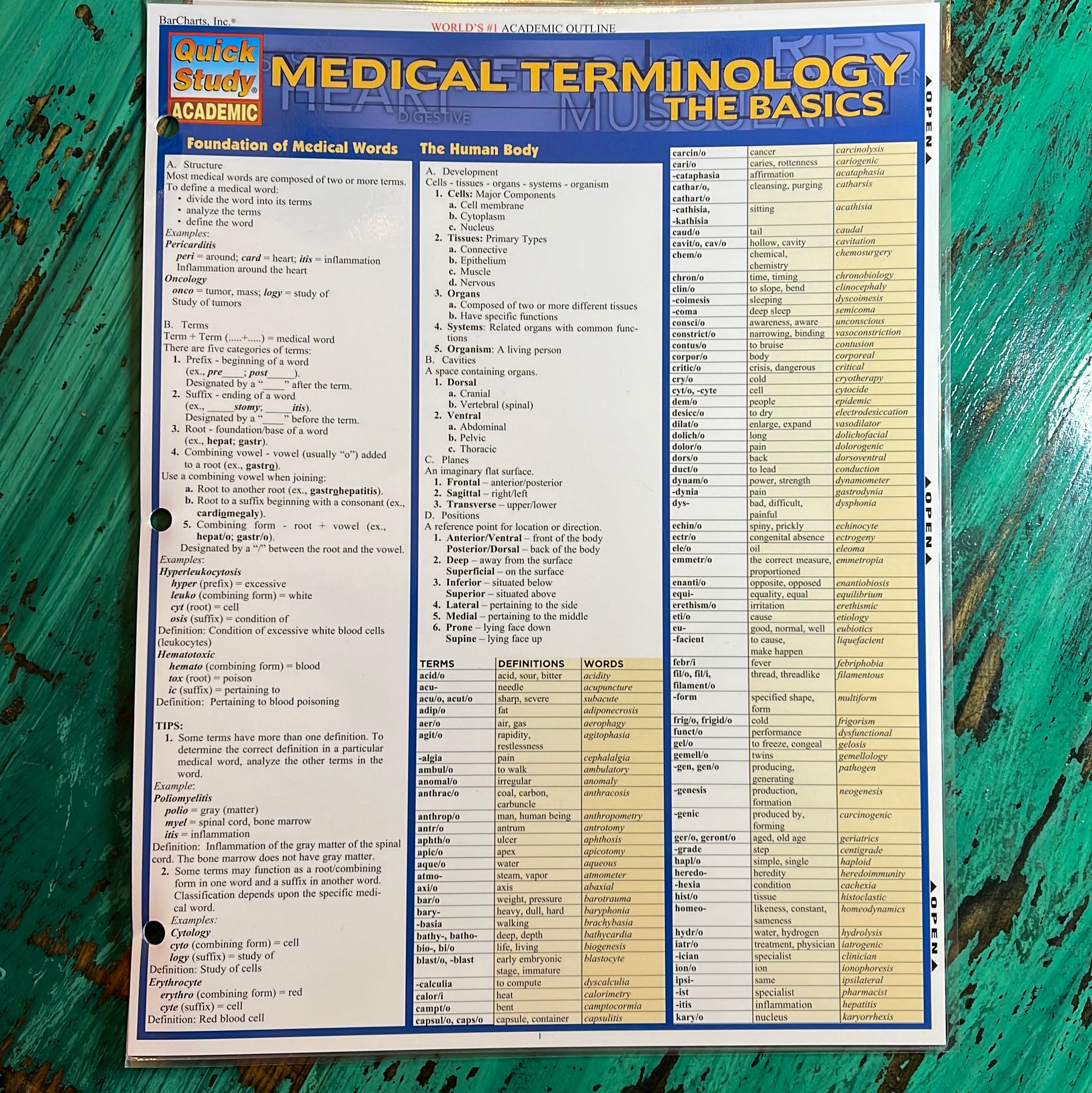 Medical Terminology:the Basics