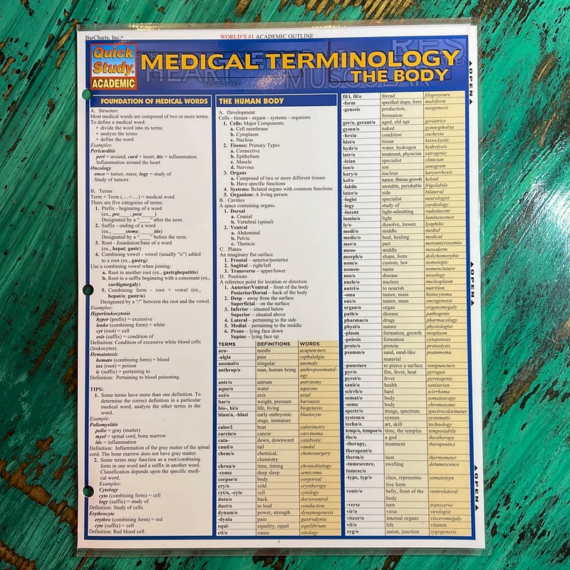 Medical Terminology: the Body