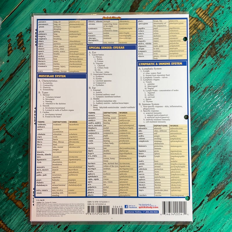 medical-terminology-by-corinne-b-linton-paperback-pangobooks