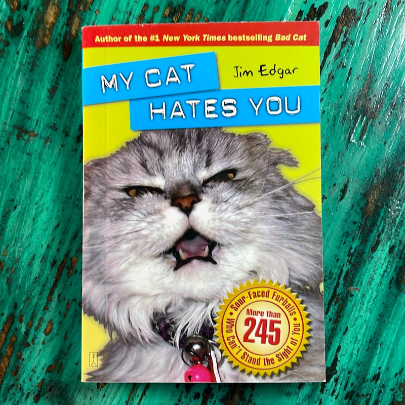 My Cat Hates You