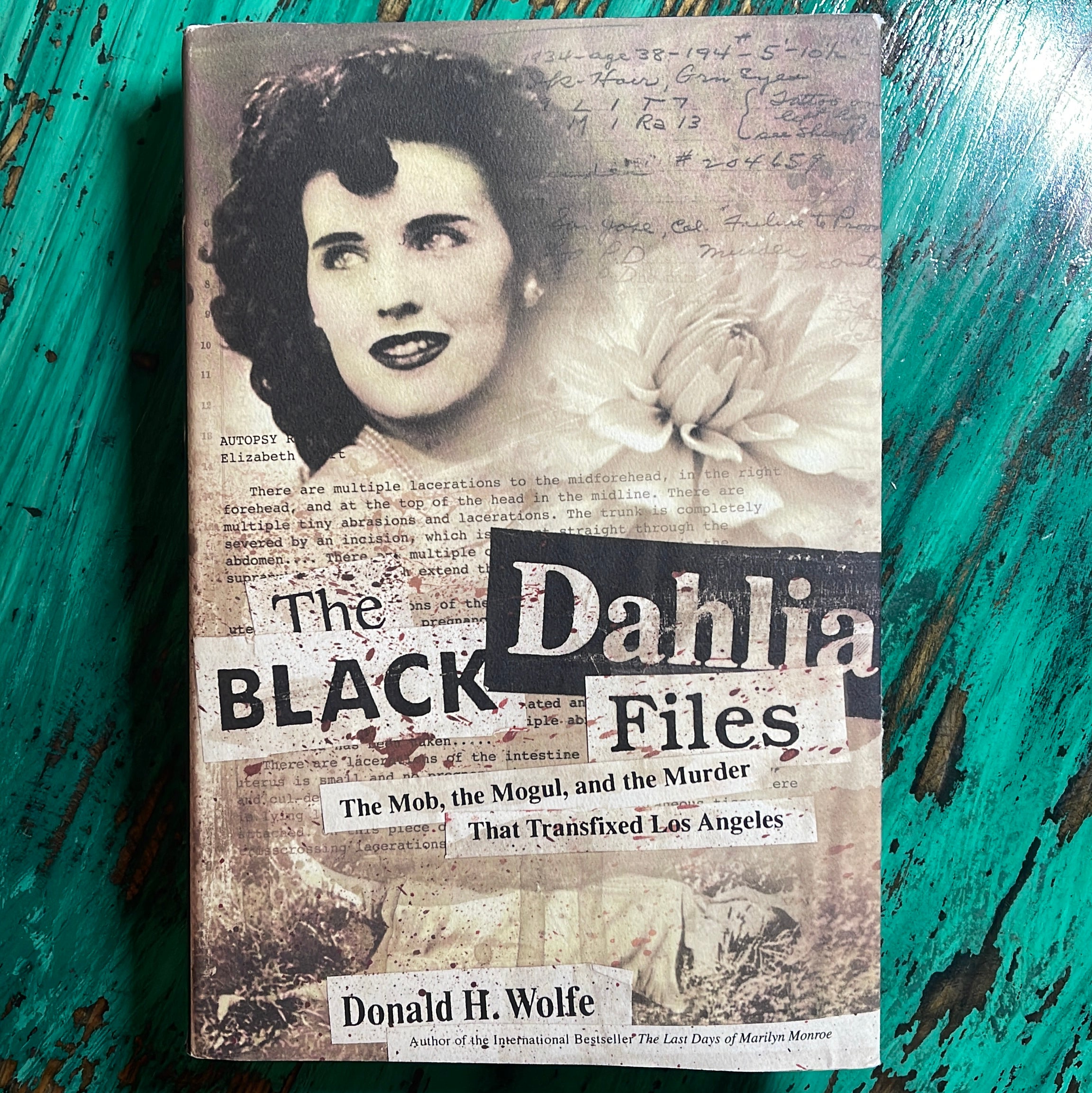 The Black Dahlia Files