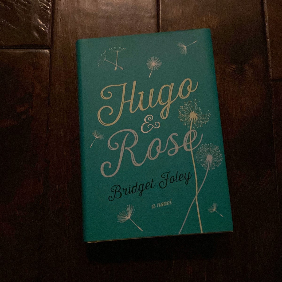 Hugo e Rose - Bridget Foley