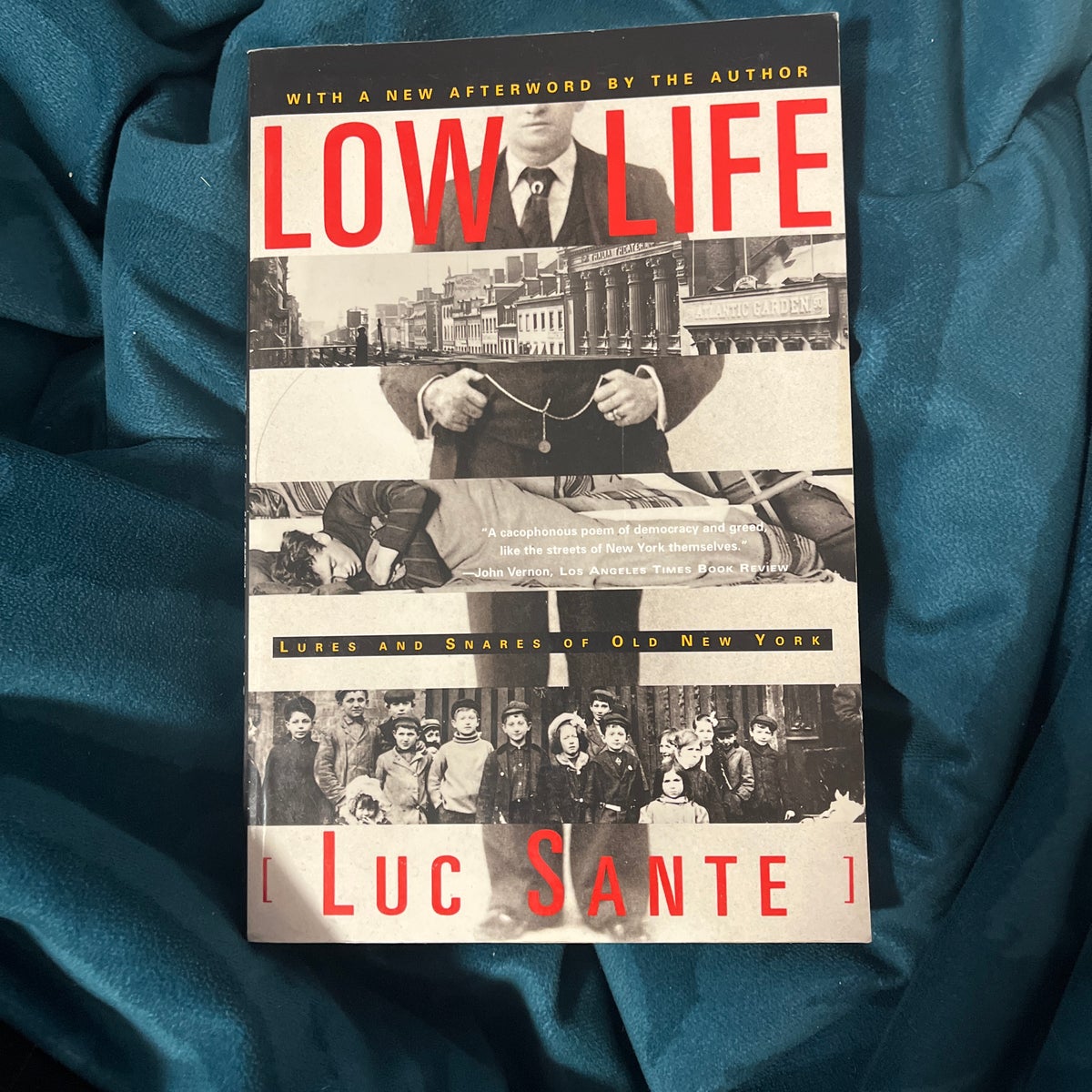 Low Life: Lures and Snares of Old New York [Book]