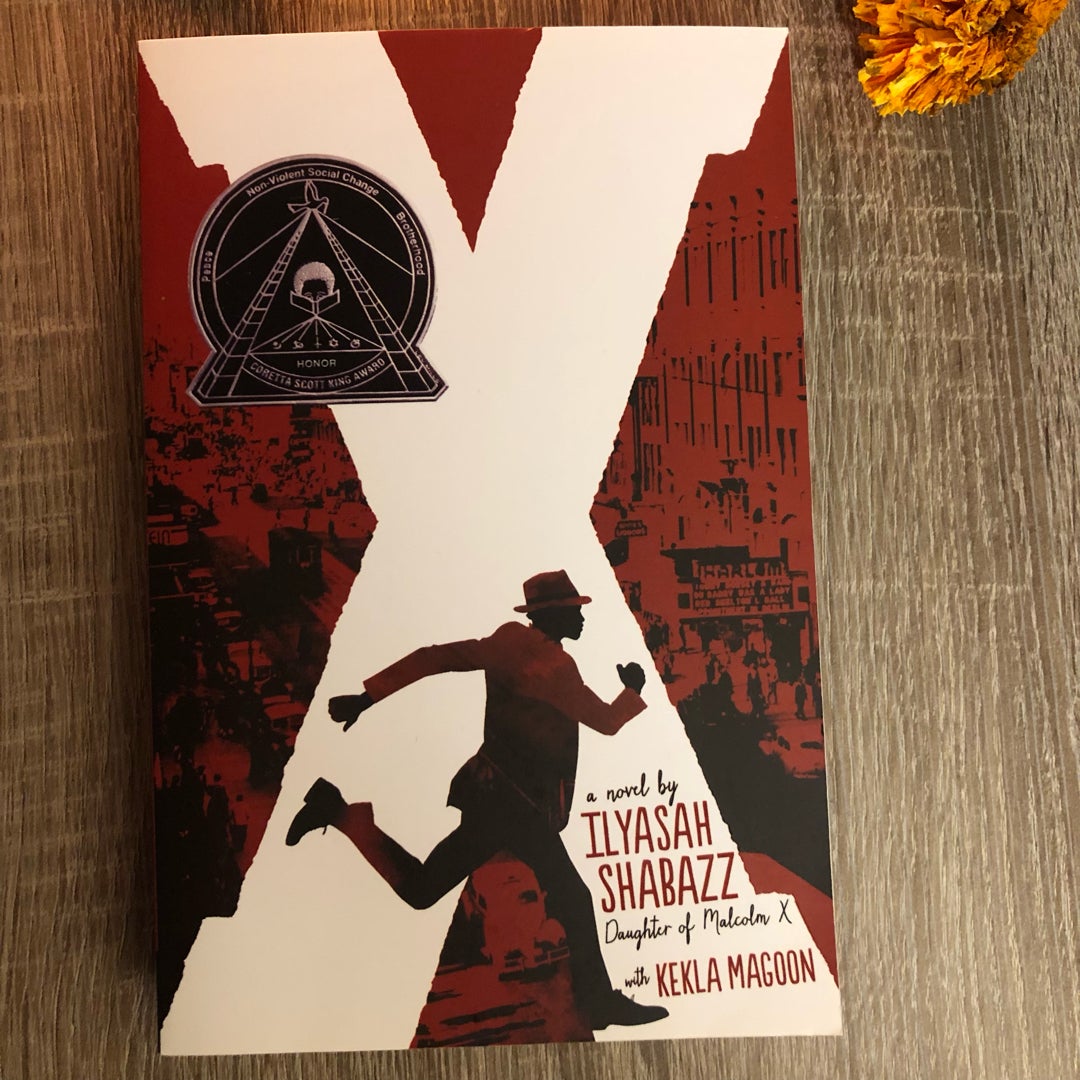 X: a Novel