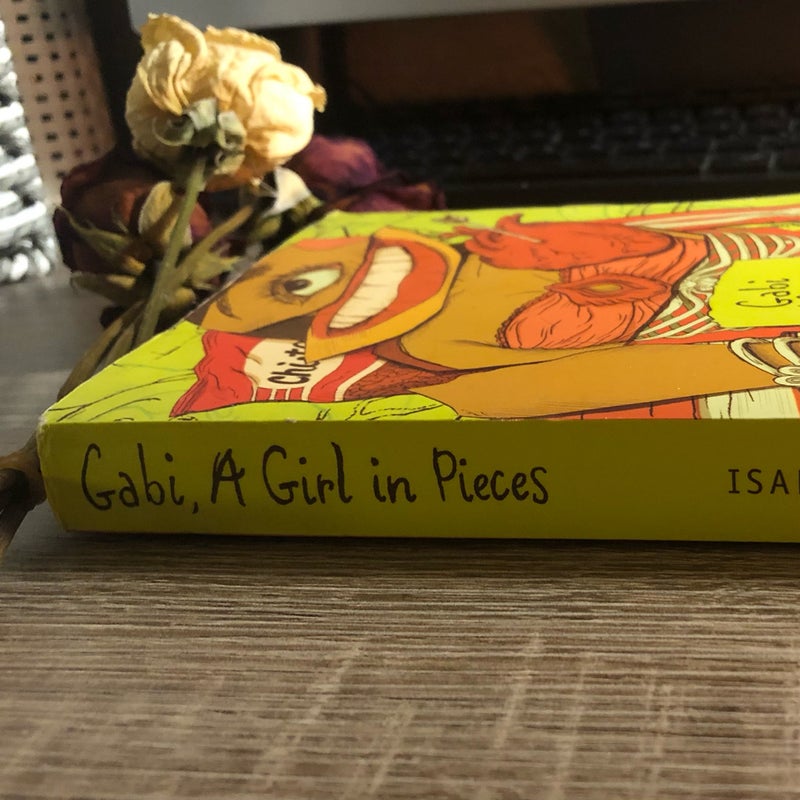 Gabi, a Girl in Pieces