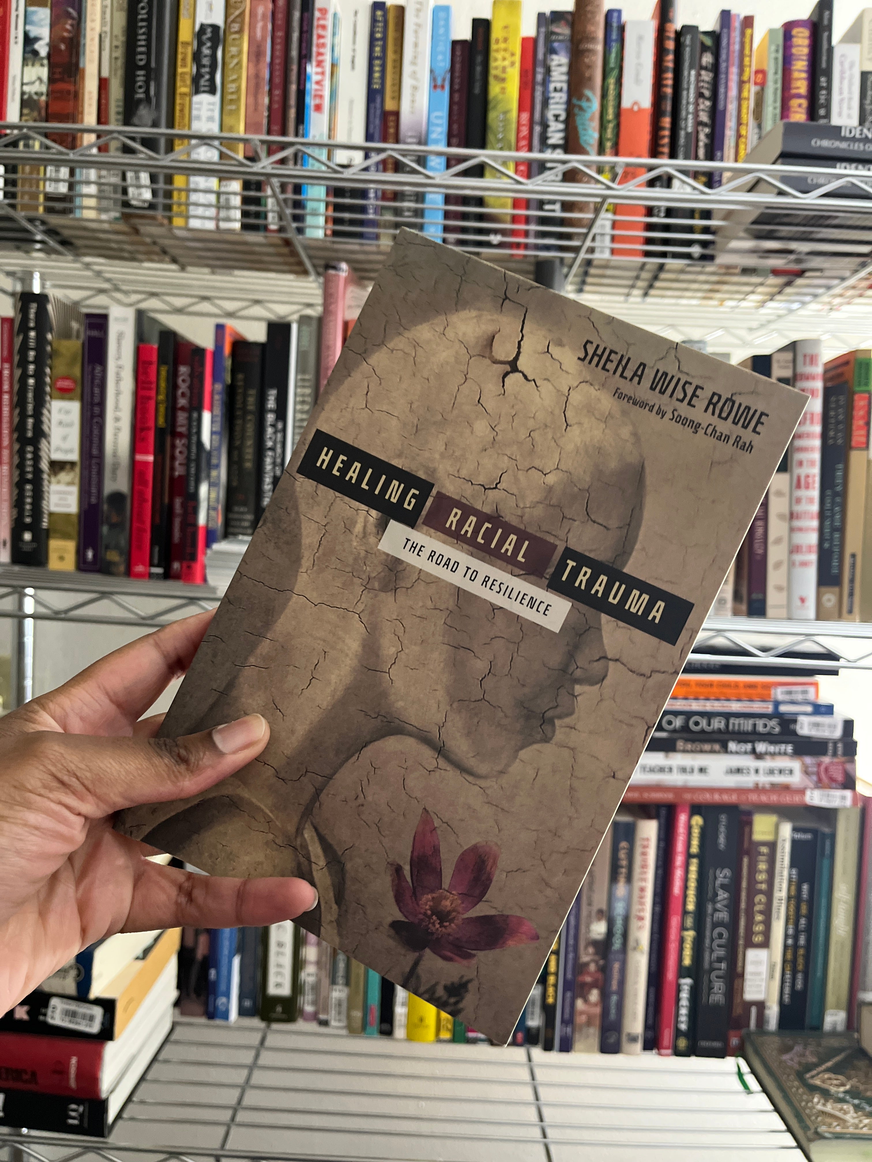 Healing Racial Trauma