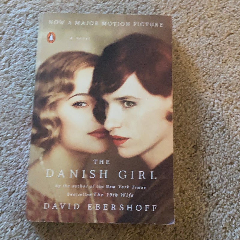 The Danish Girl: A Novel (Movie Tie-In)