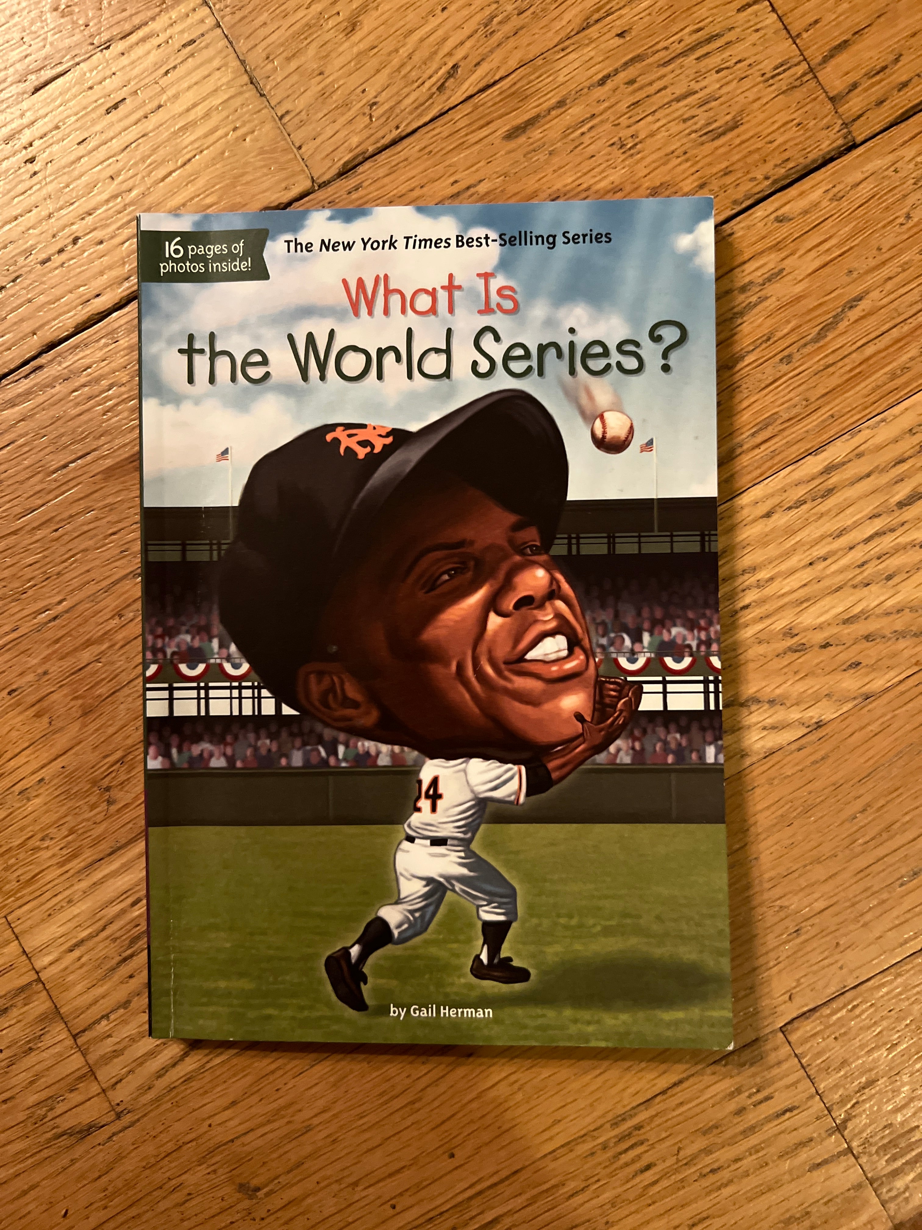 What Is the World Series?