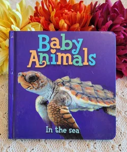 Baby Animals in the Sea