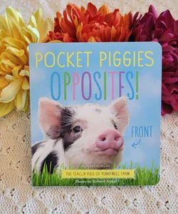 Pocket Piggies Opposites!