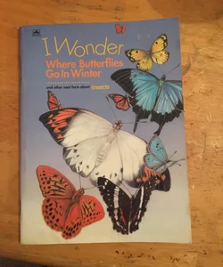 Where Do Butterflies Go in Winter?