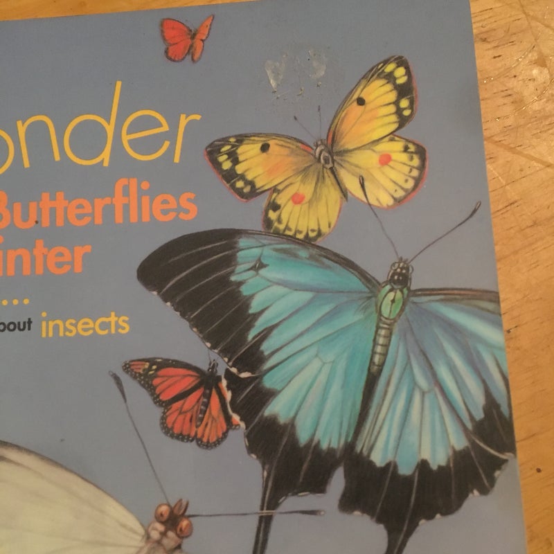 Where Do Butterflies Go in Winter?