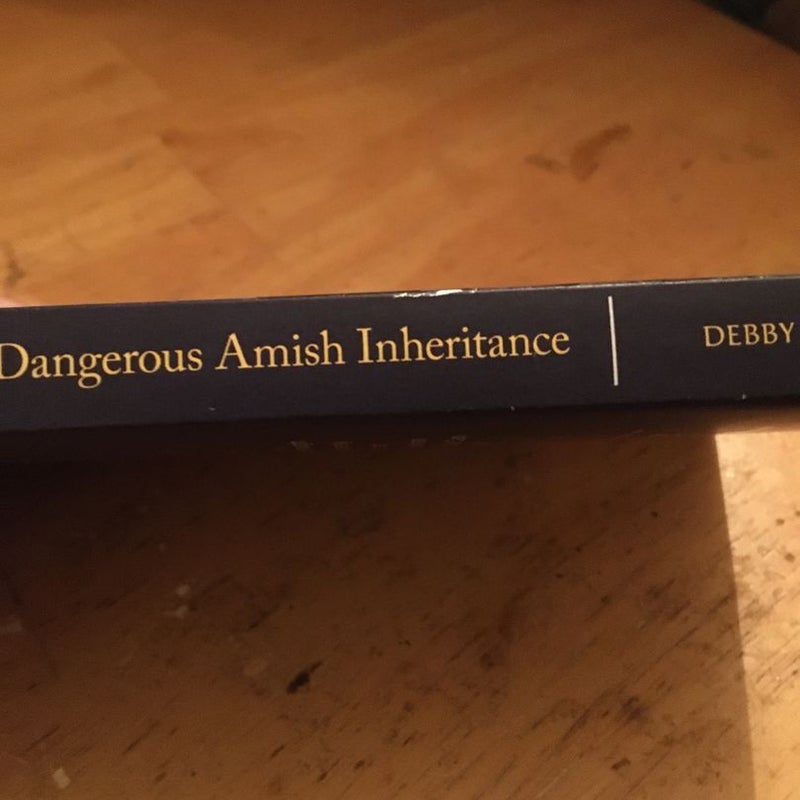 Dangerous Amish Inheritance and Hidden in Amish Country