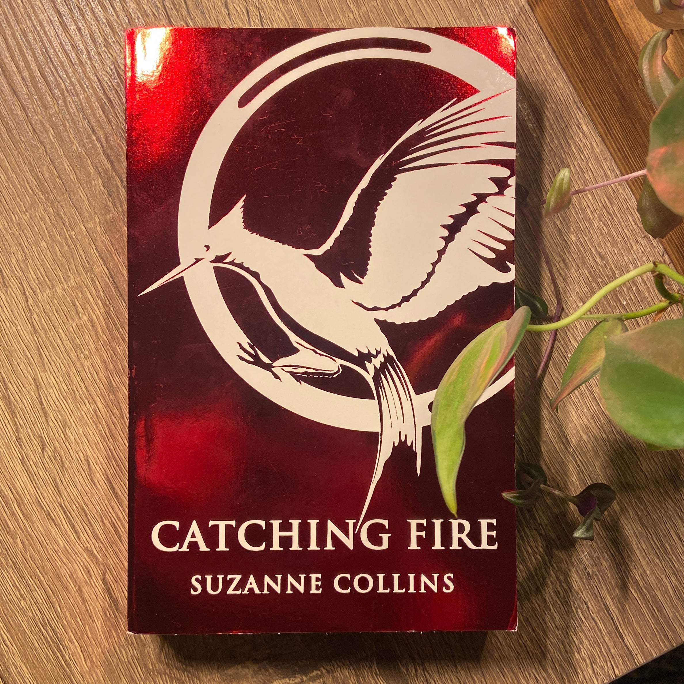 The Hunger Games Book 2: Catching Fire - Special Sales Edition