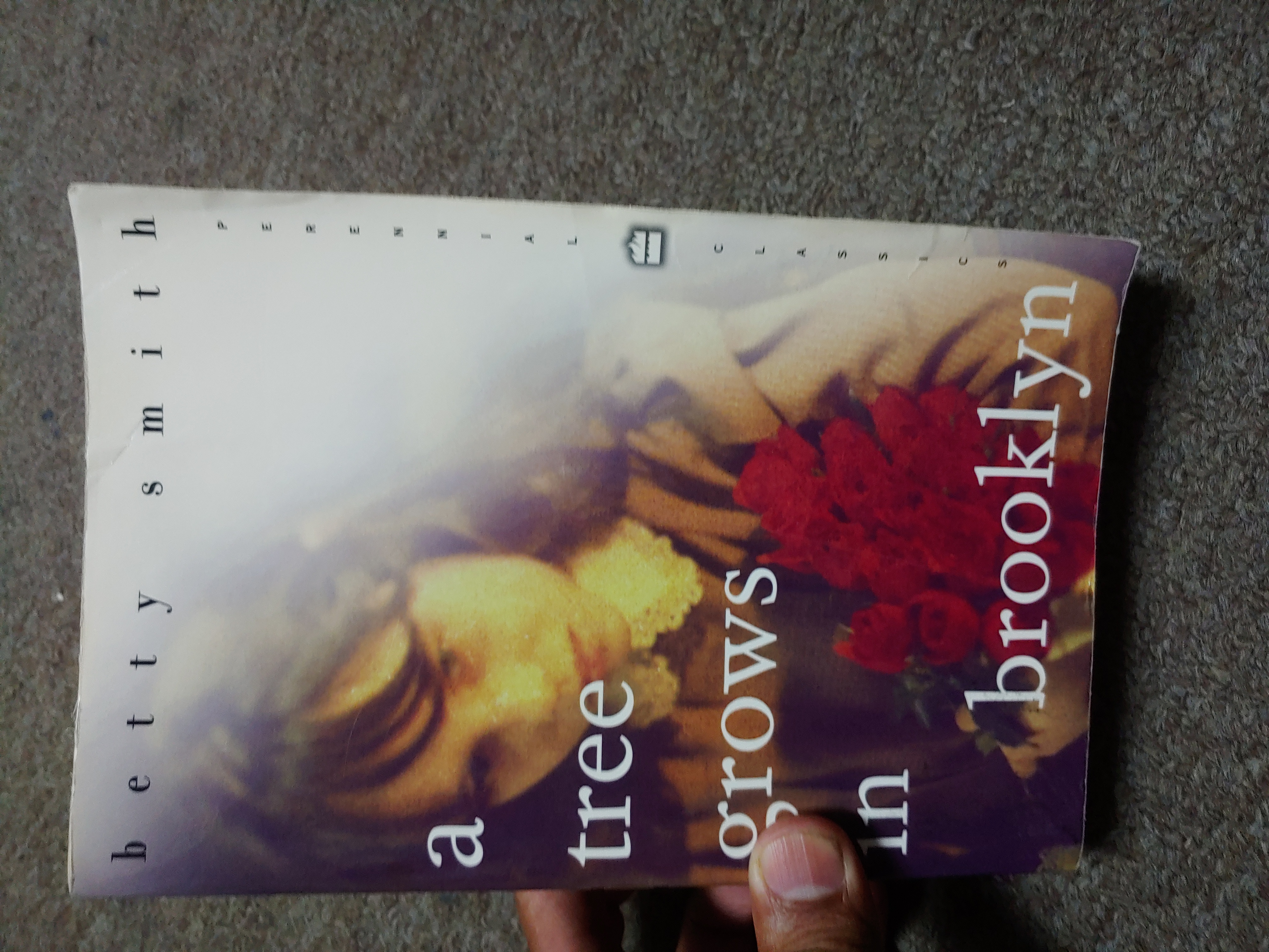 A Tree Grows in Brooklyn