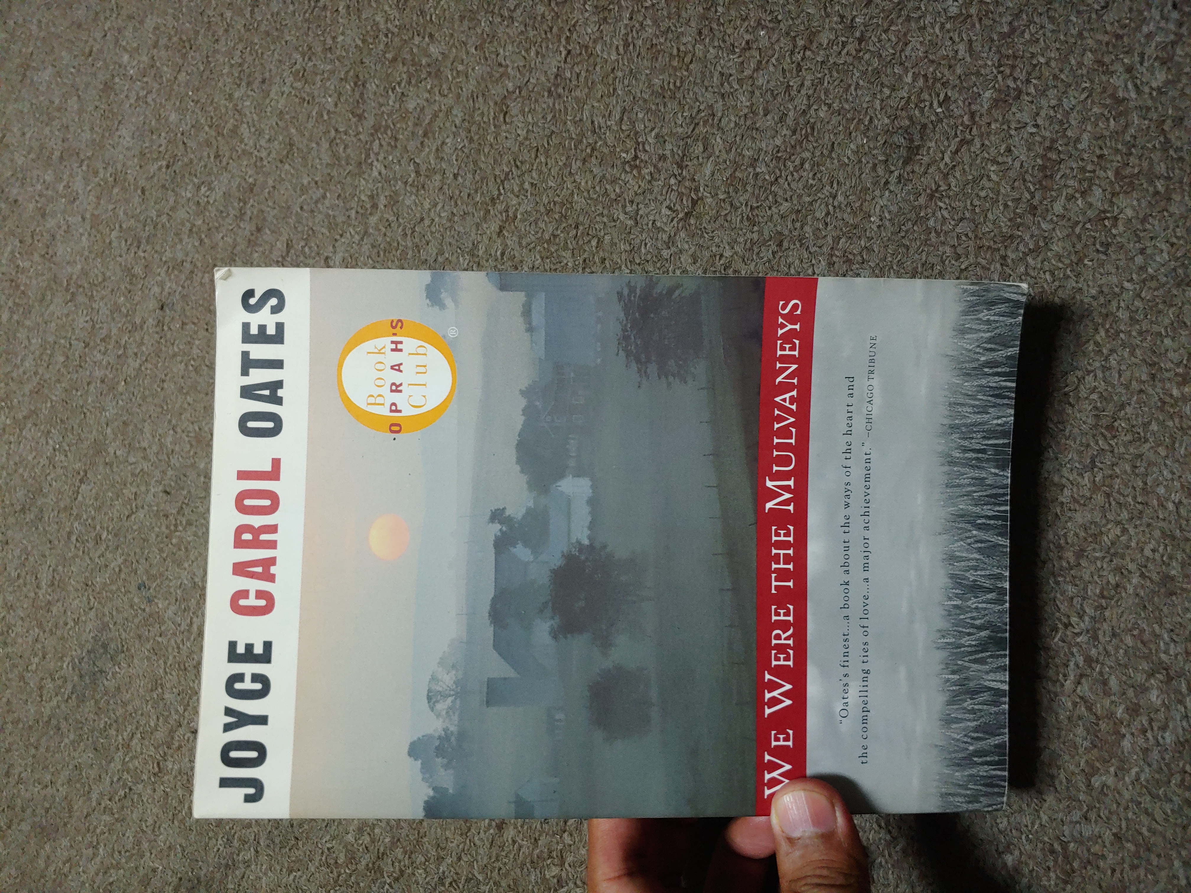 We Were the Mulvaneys