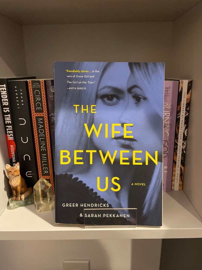 The Wife Between Us