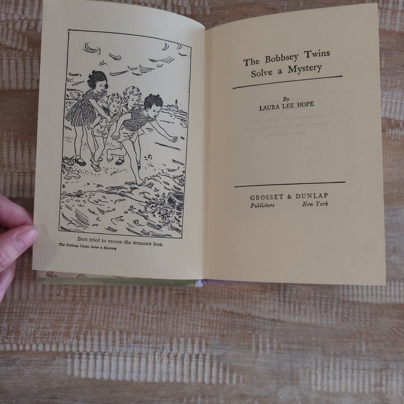 The Bobbsey Twins Solve a Mystery
