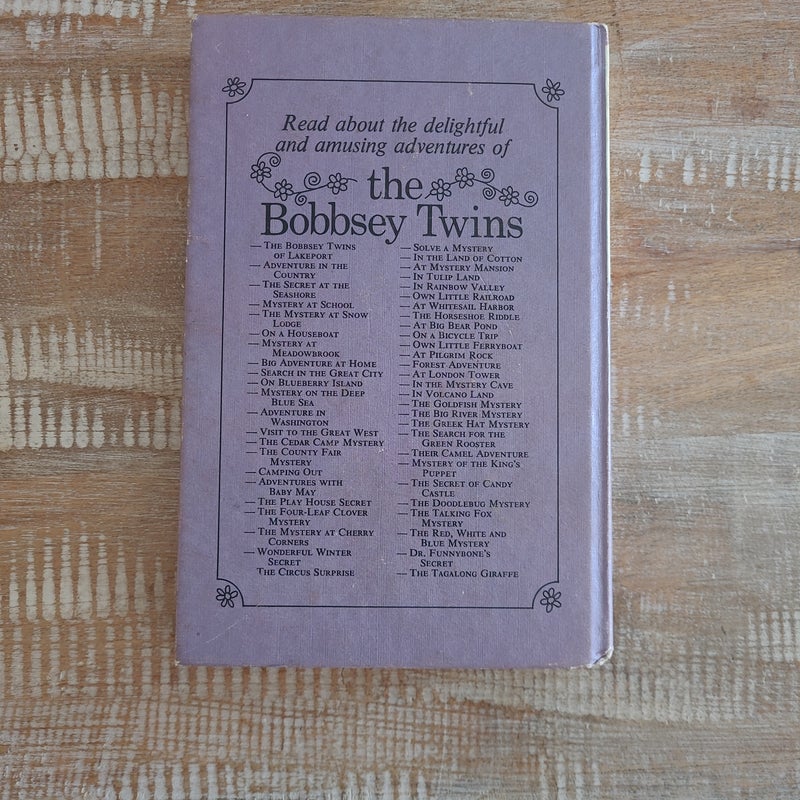 The Bobbsey Twins Solve a Mystery