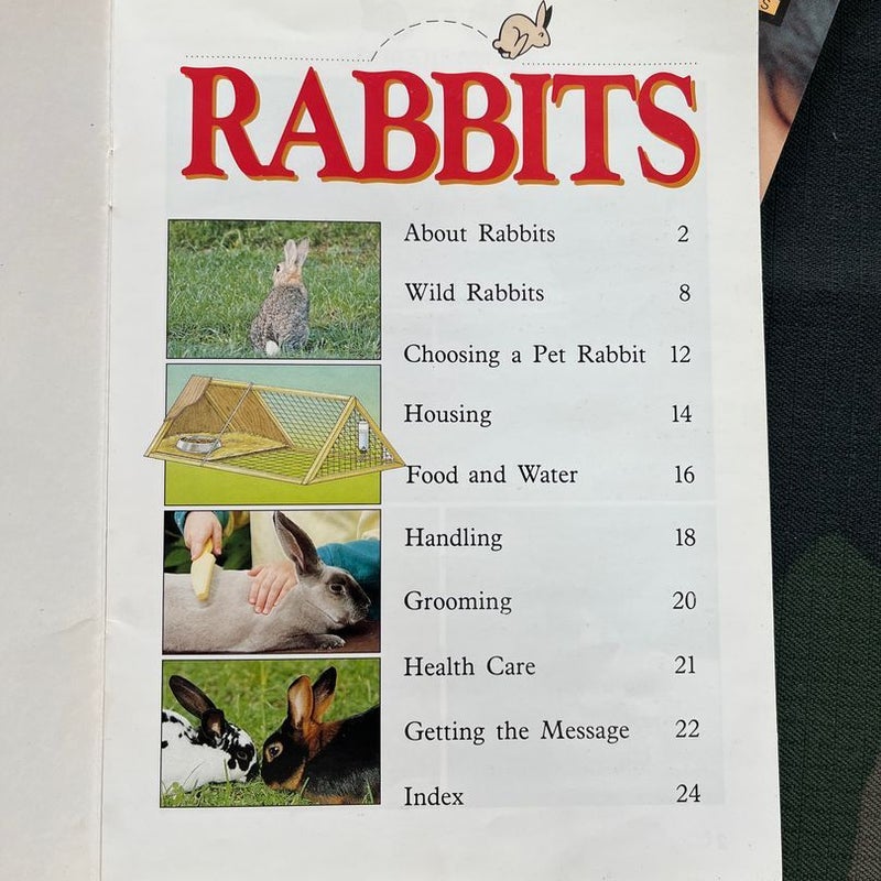 Rabbits *5 copies 