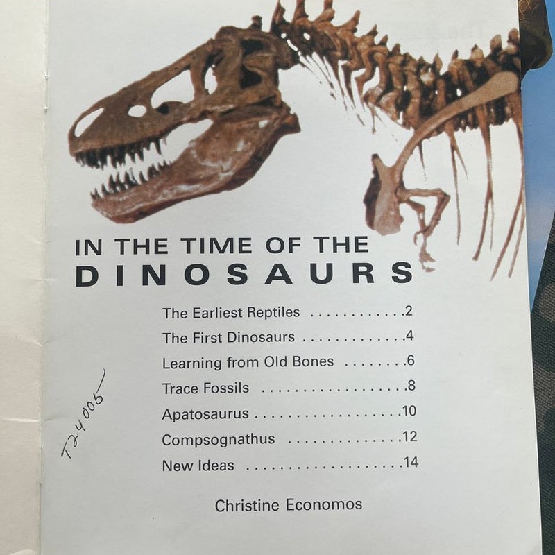 In The Time Of The Dinosaurs  *5 copies 