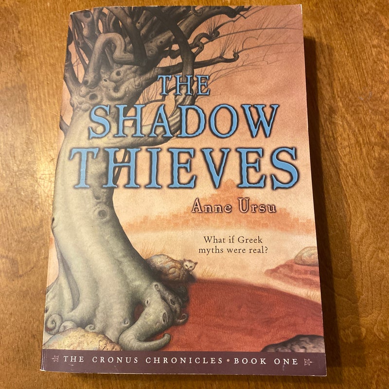 The Shadow Thieves