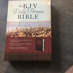 The KJV Daily Promise Bible