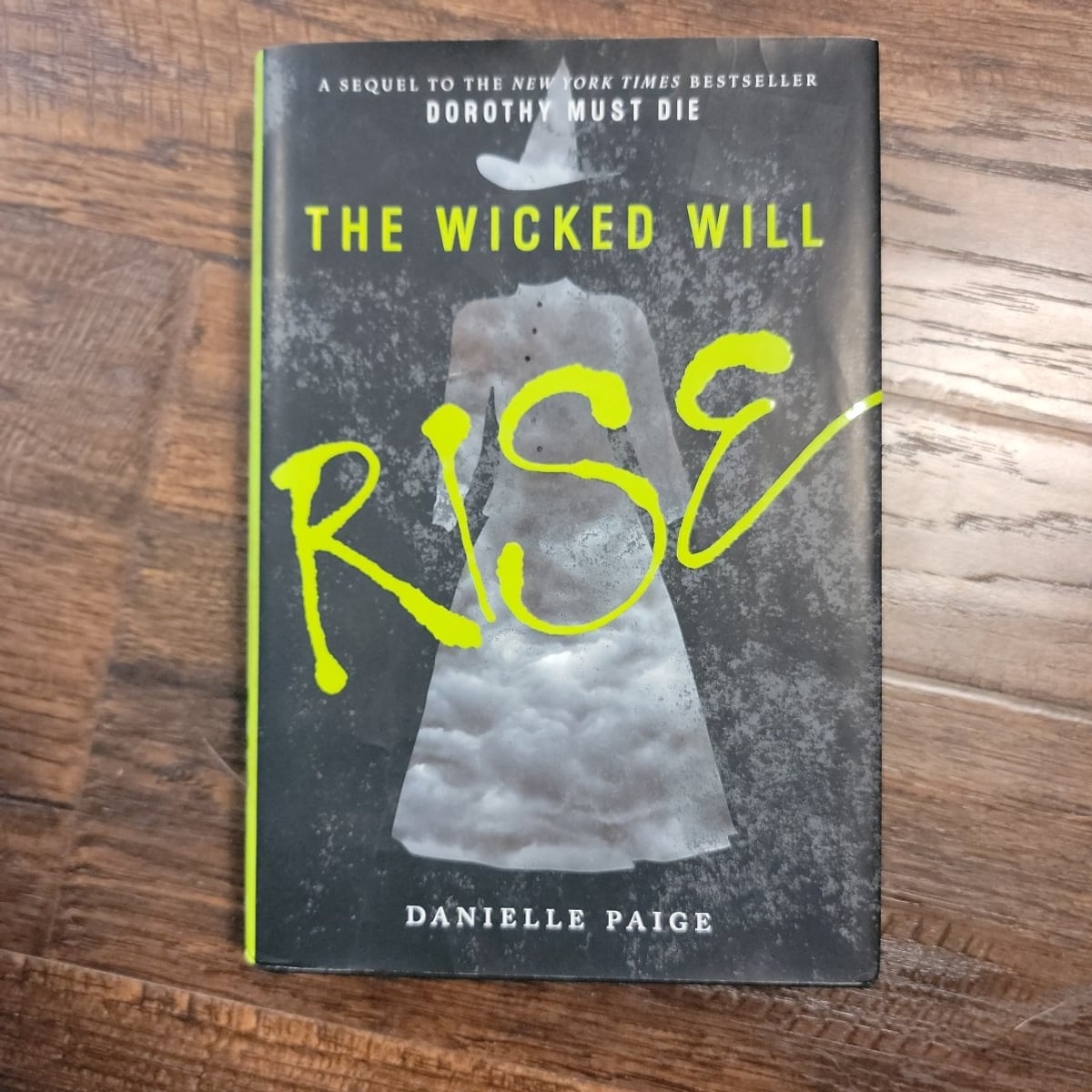 The Wicked Will Rise by Danielle Paige, Hardcover Pangobooks