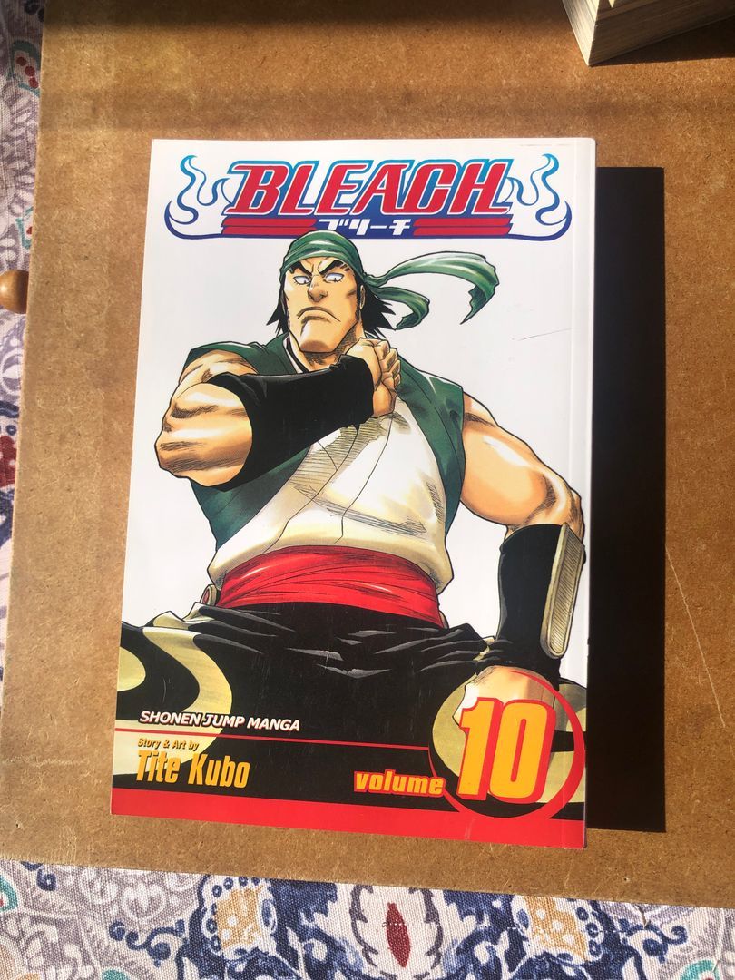 Bleach, Vol. 10