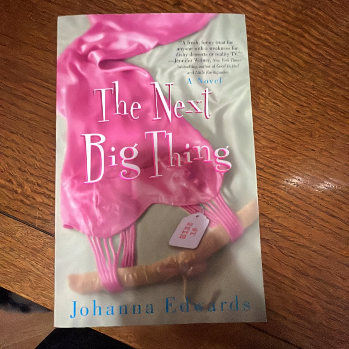 The Next Big Thing by Johanna Edwards, Paperback Pangobooks