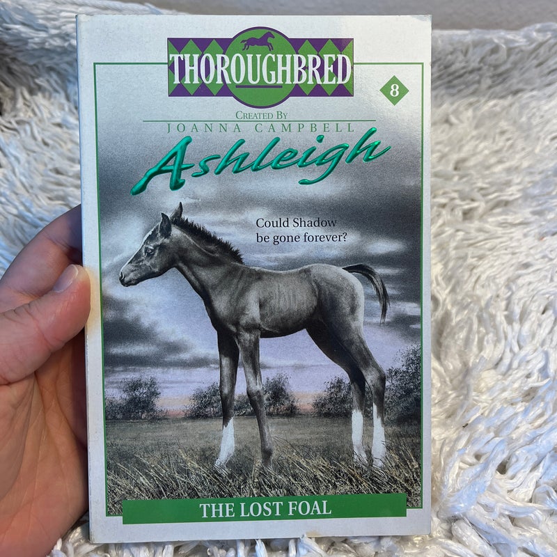The Lost Foal