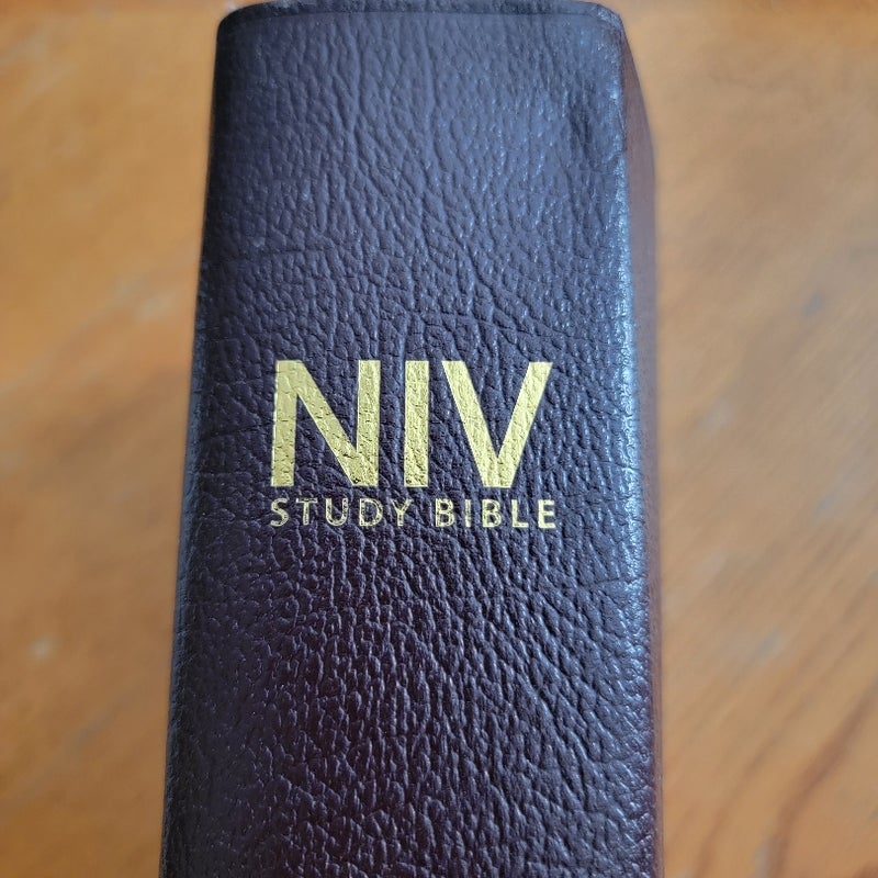 NIV Study Bible