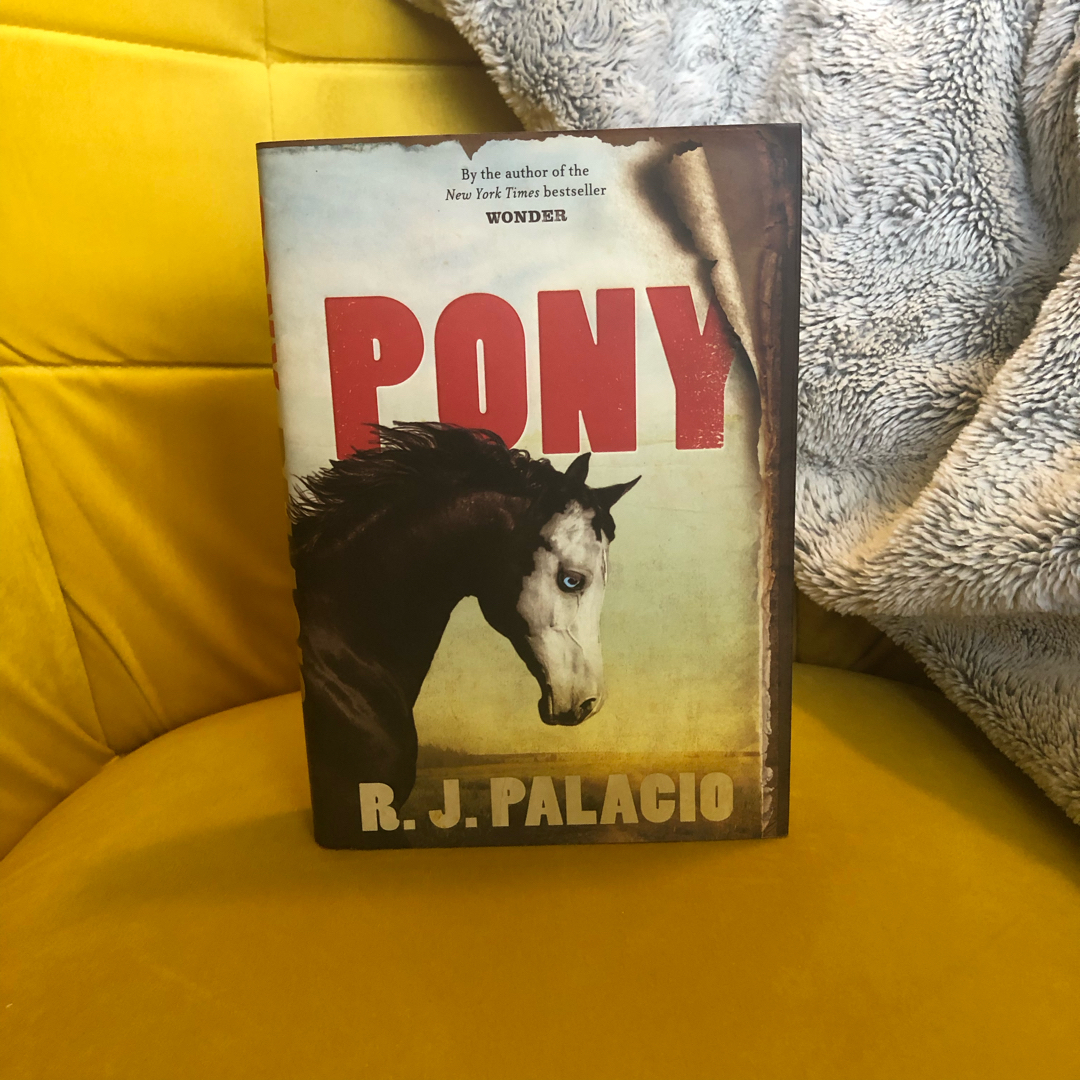 Sale image for 6ec223ce-2bc9-490a-8f56-948fb1f04505-MdLYcdwoJuPgmsx13suH63VAQQA3