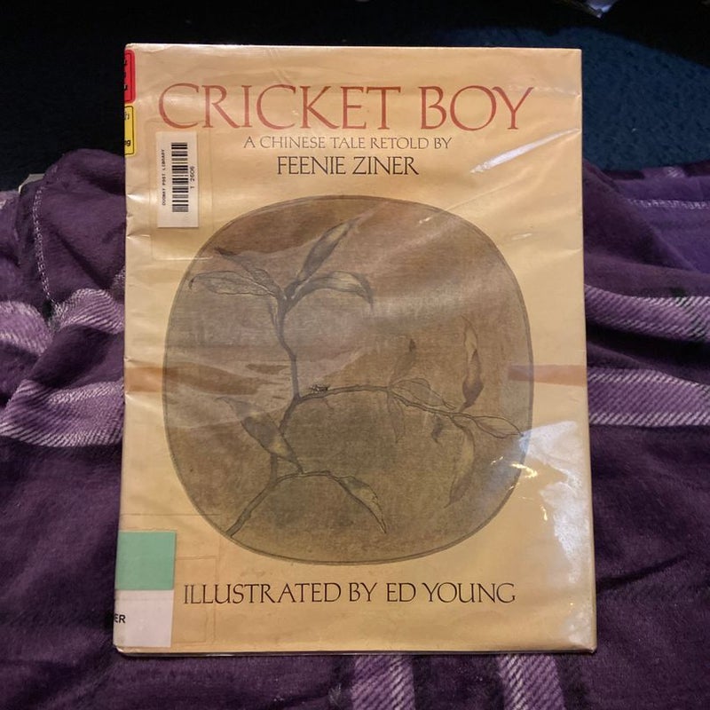 Cricket Boy