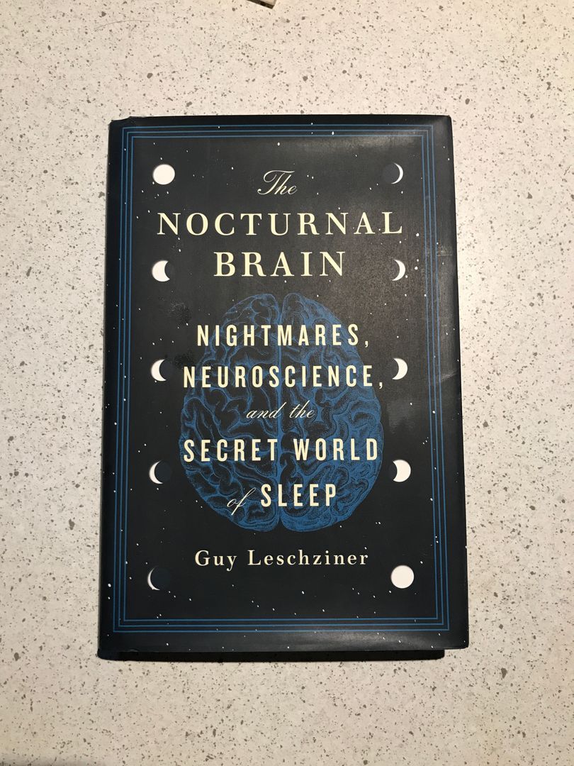 The Nocturnal Brain