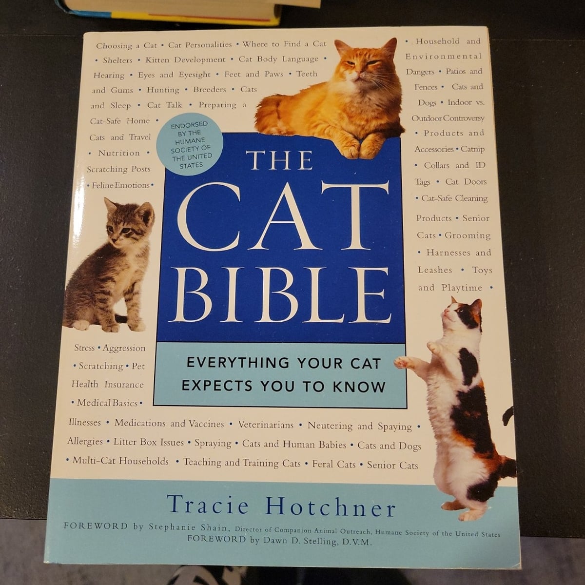 The Cat Bible by Tracie Hotchner
