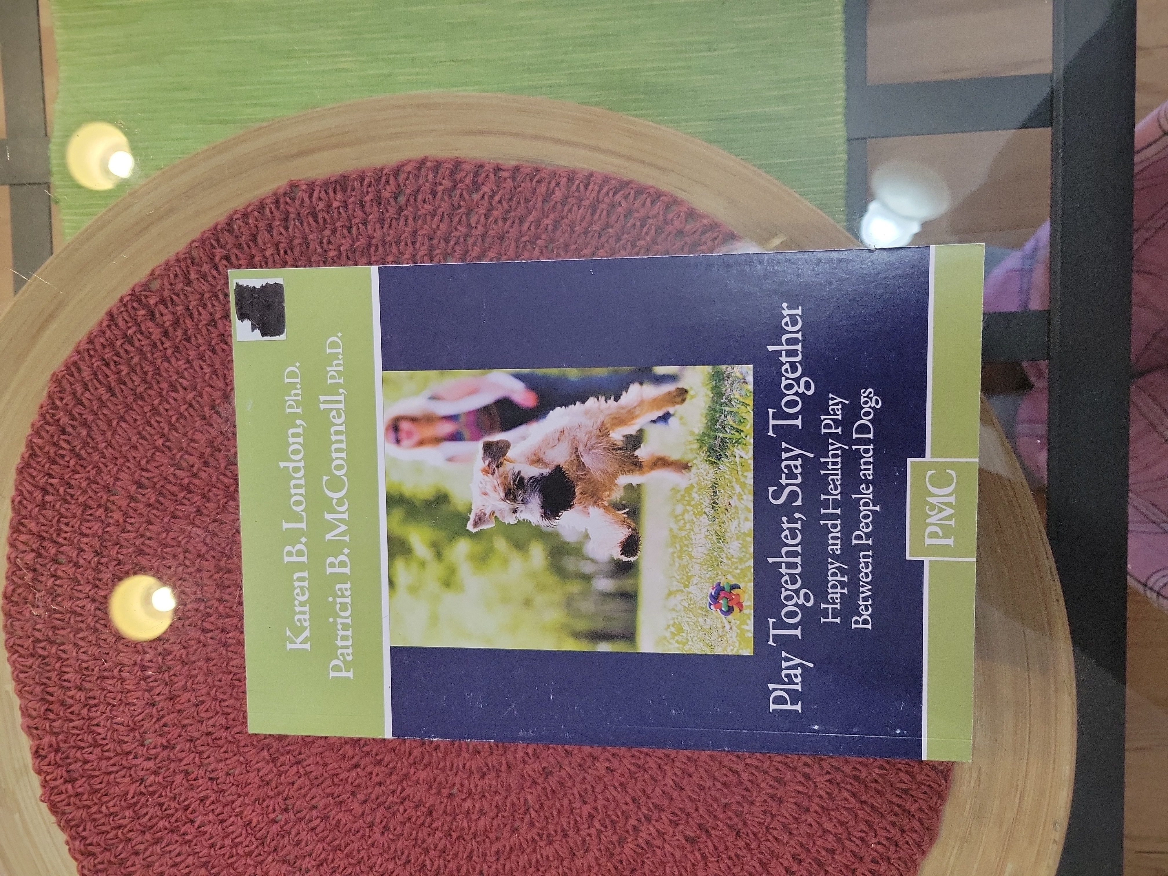 Play Together, Stay Together 