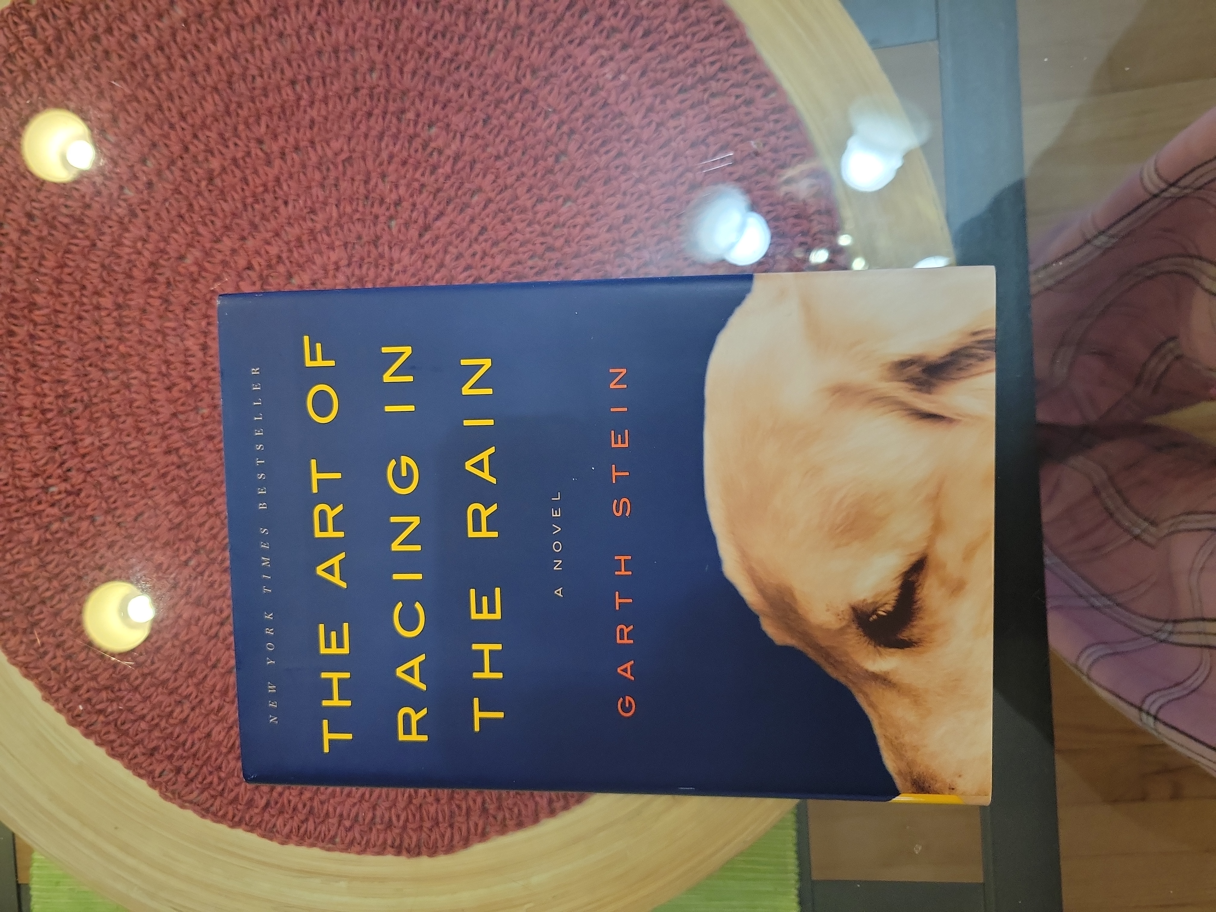 The Art of Racing in the Rain