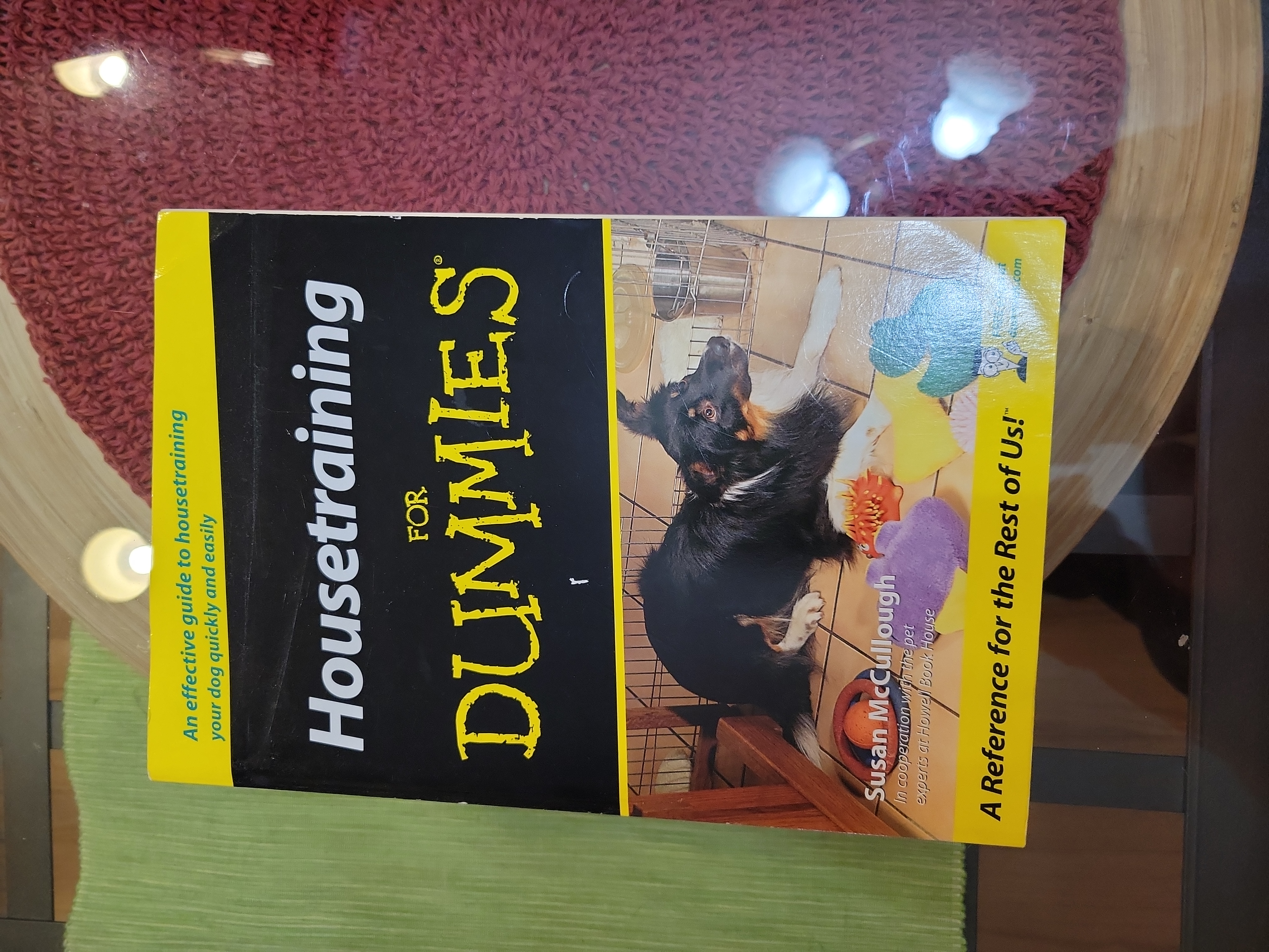 Housetraining for Dummies