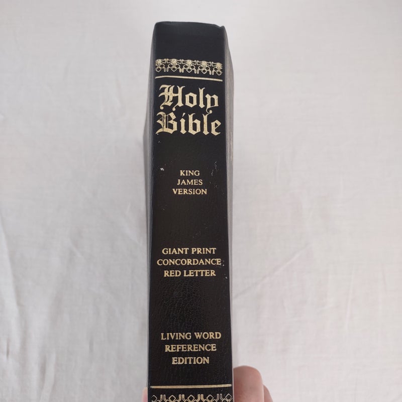 Holy Bible 