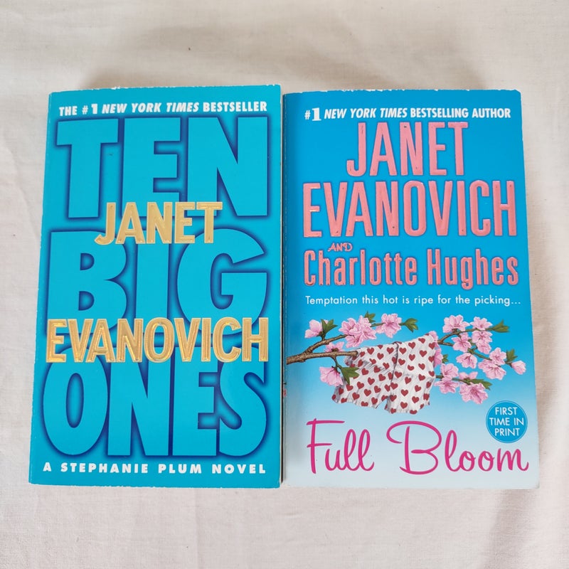 Lot of 2 Janet Evanovich Novels