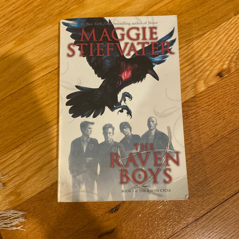 The Raven Boys