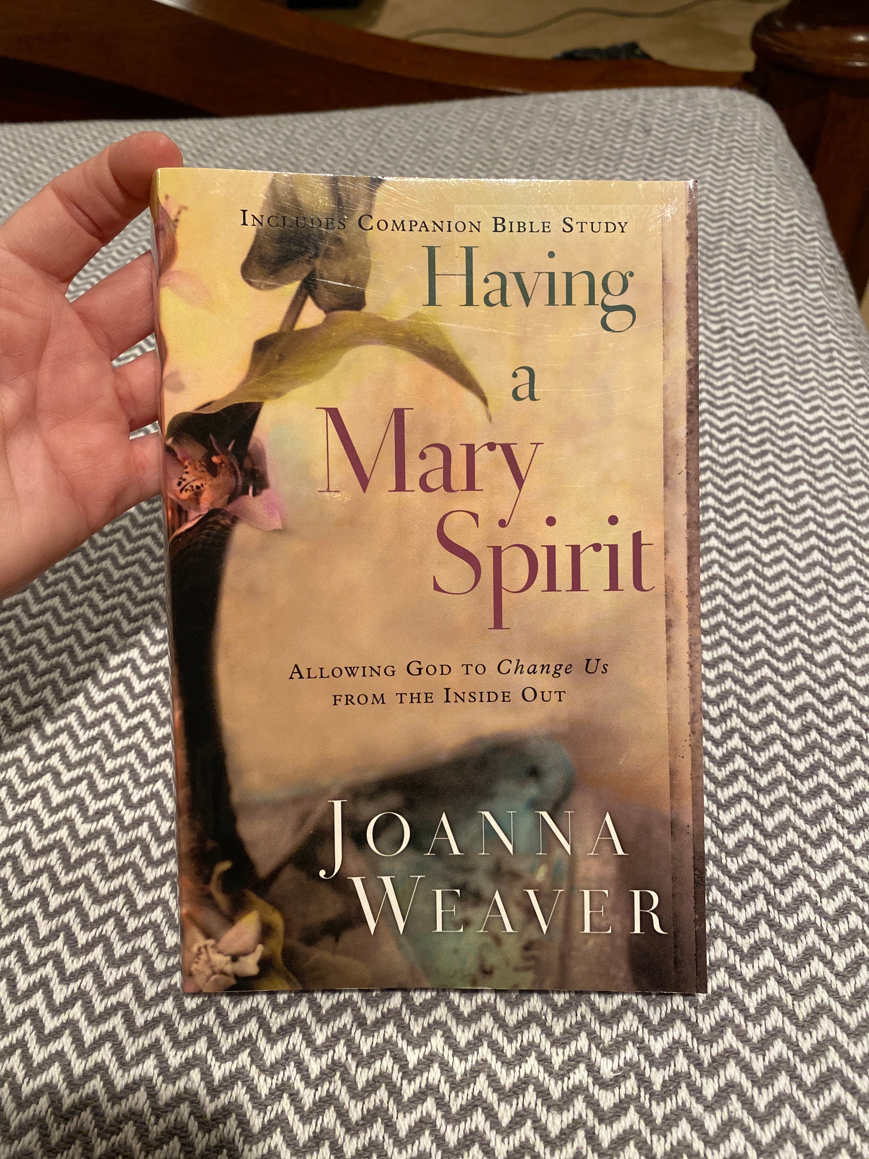 Having a Mary Spirit