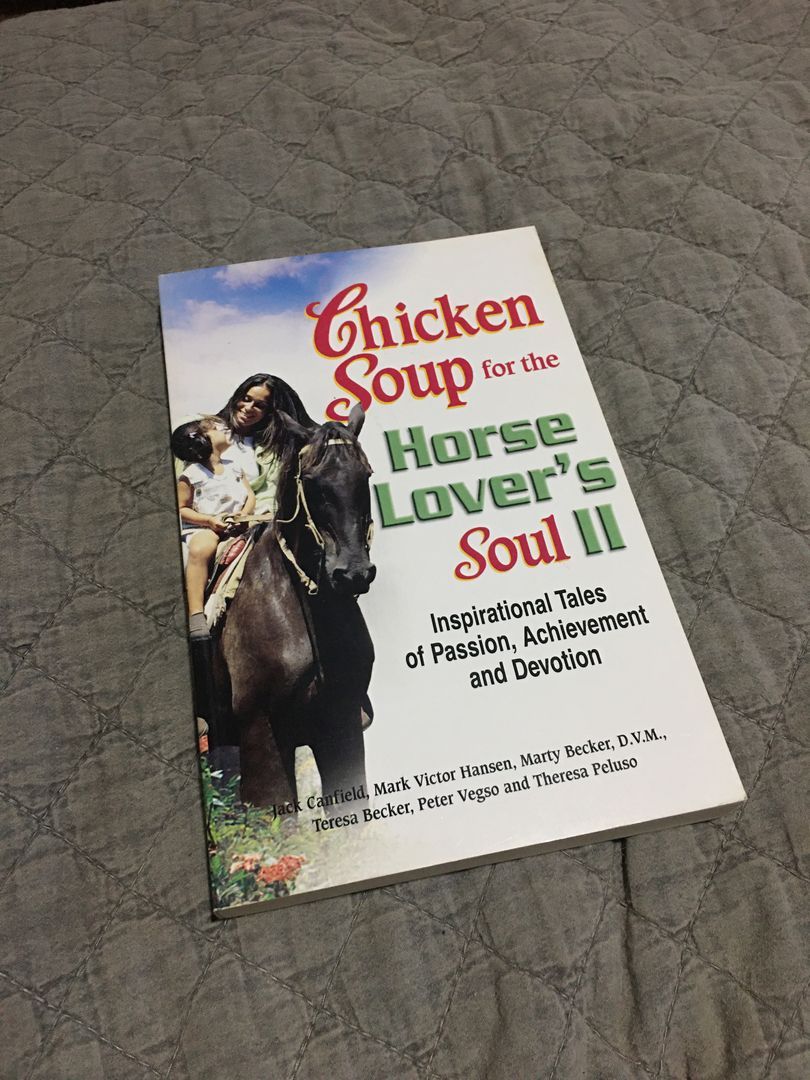 Chicken Soup for the Horse Lover's Soul II