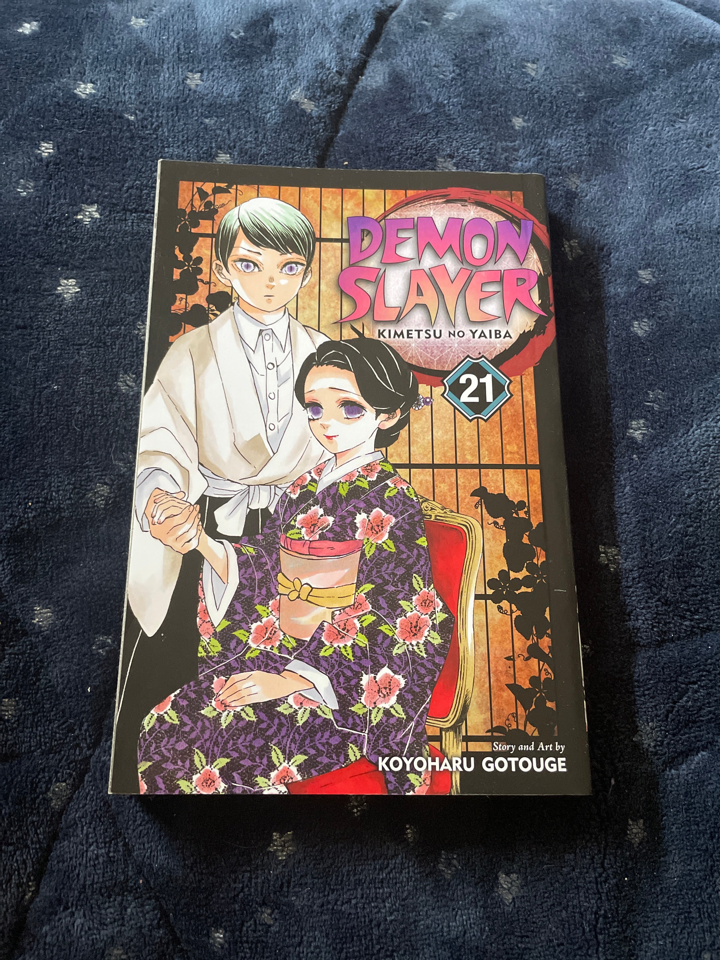 Demon Slayer: Kimetsu No Yaiba, Vol. 21