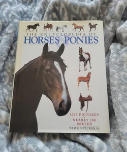 Horses and Ponies