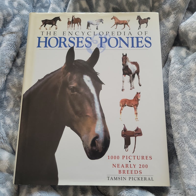 Horses and Ponies