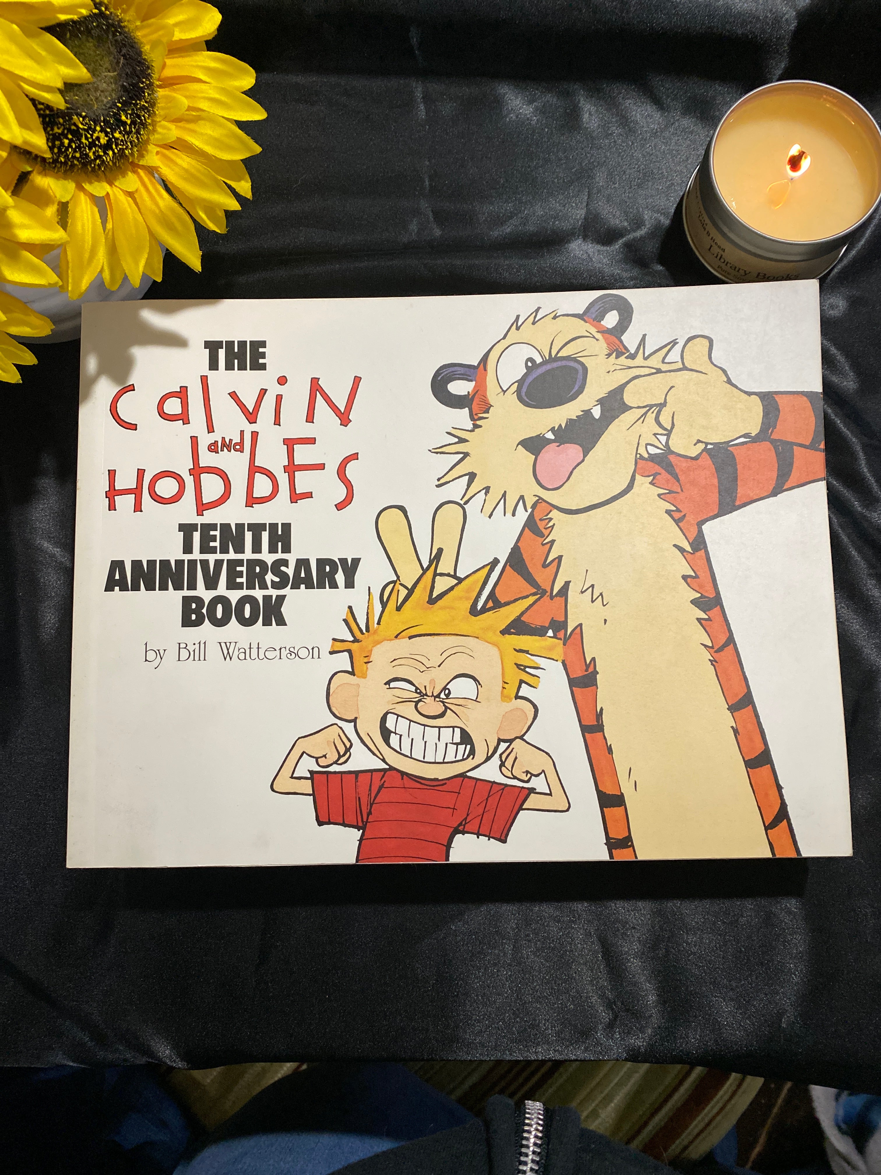 The Calvin and Hobbes Tenth Anniversary Book